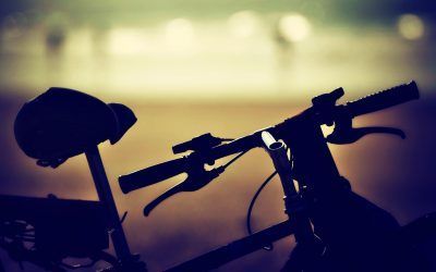 Paseos en bicicleta.